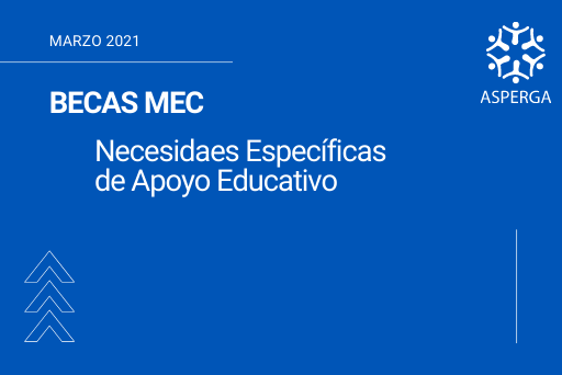 BECAS MEC – Necesidades Específicas de Apoyo Educativo (video informativo)